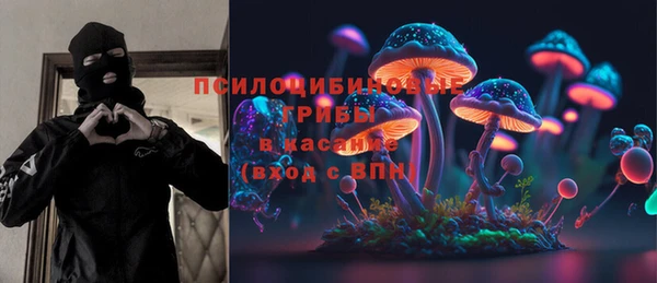 ГАЛЛЮЦИНОГЕННЫЕ ГРИБЫ Алексин