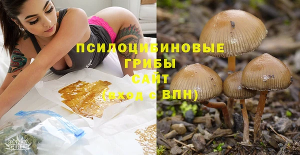 PSILOCYBIN Абаза