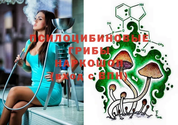 ГАЛЛЮЦИНОГЕННЫЕ ГРИБЫ Алексин