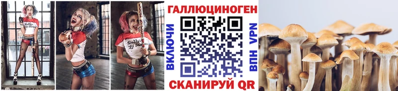 Галлюциногенные грибы Magic Shrooms  Ужур 