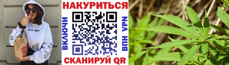 Шишки марихуана MAZAR Ужур